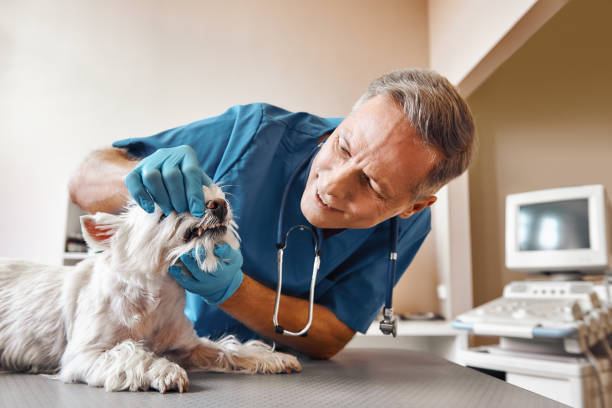 Best Tooth Pain Emergency Relief  in Rossville, KS