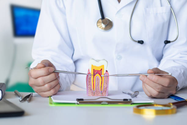 Best Broken Tooth Emergency  in Rossville, KS